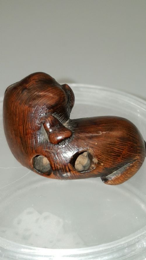 JAPANESE MEIJI 19THC BOXWOOD NETSUKE OF A PUPPY - ADDITIONAL PHOTO 5