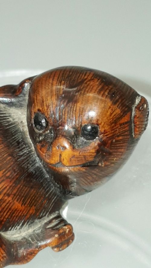 JAPANESE MEIJI 19THC BOXWOOD NETSUKE OF A PUPPY - ADDITIONAL PHOTO 6
