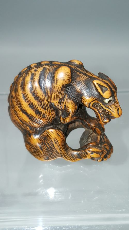 superb japanese edo 18thc boxwood netsuke of starving wolf with a turtle - CATEGORY: ANTIQUE SCULPTURES - DATED 16TH CENTURY