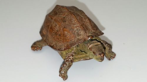 EXCELLENT MEIJI JAPANESE MINIATURE BRONZE OF A TURTLE WITH RETRACTABLE HEADTAIL - ADDITIONAL PHOTO 3