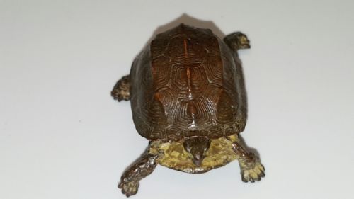 EXCELLENT MEIJI JAPANESE MINIATURE BRONZE OF A TURTLE WITH RETRACTABLE HEADTAIL - ADDITIONAL PHOTO 2