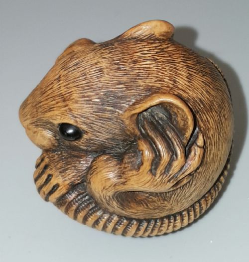 CHARMING JAPANESE MEIJI LATE 19THC BOXWOOD NETSUKE OF A COILED RAT SIGNED MASANAO - ADDITIONAL PHOTO 1