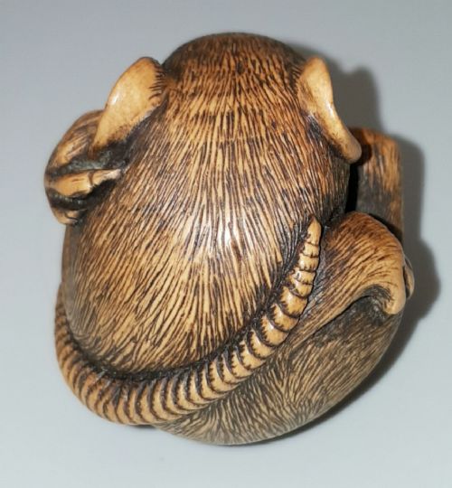 CHARMING JAPANESE MEIJI LATE 19THC BOXWOOD NETSUKE OF A COILED RAT SIGNED MASANAO - ADDITIONAL PHOTO 3