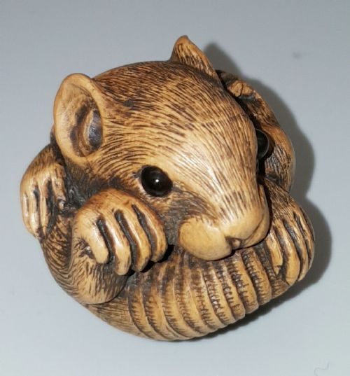CHARMING JAPANESE MEIJI LATE 19THC BOXWOOD NETSUKE OF A COILED RAT SIGNED MASANAO - ADDITIONAL PHOTO 5