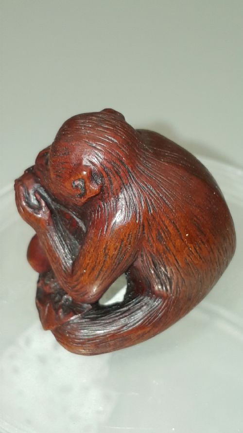 SUPERB JAPANESE EDO MID19THC MONKEY NETSUKE SIGNED TOMOKAZU - ADDITIONAL PHOTO 3