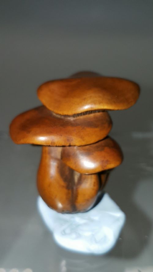 JAPANESE MEIJI 19THC BOXWOOD NETSUKE OF SHIMEJI MUSHROOMS SIGNED MASANAO - ADDITIONAL PHOTO 2