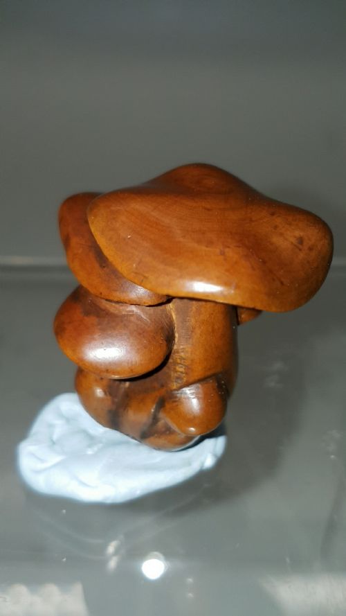 JAPANESE MEIJI 19THC BOXWOOD NETSUKE OF SHIMEJI MUSHROOMS SIGNED MASANAO - ADDITIONAL PHOTO 3