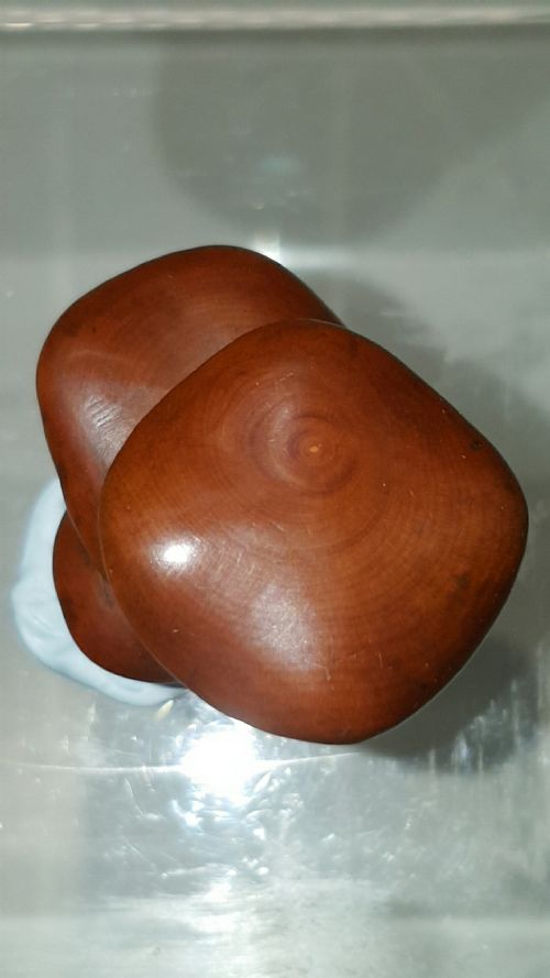 JAPANESE MEIJI 19THC BOXWOOD NETSUKE OF SHIMEJI MUSHROOMS SIGNED MASANAO - ADDITIONAL PHOTO 4