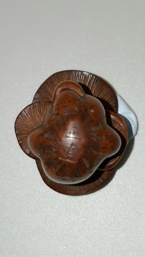 JAPANESE MEIJI 19THC BOXWOOD NETSUKE OF SHIMEJI MUSHROOMS SIGNED MASANAO - ADDITIONAL PHOTO 5