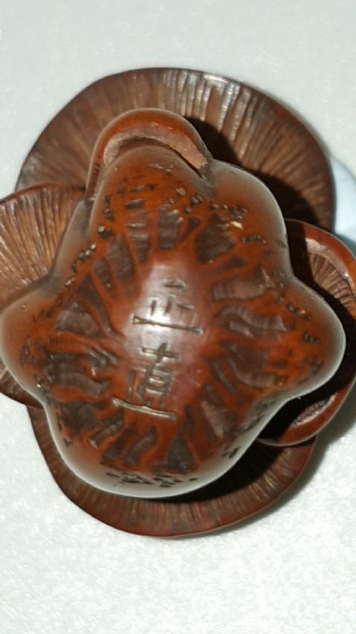 JAPANESE MEIJI 19THC BOXWOOD NETSUKE OF SHIMEJI MUSHROOMS SIGNED MASANAO - ADDITIONAL PHOTO 6
