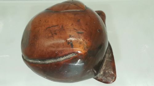 NICE JAPANESE EDO MID19THC BOXWOOD NETSUKE OF A PEACH - ADDITIONAL PHOTO 4