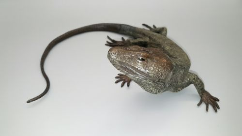 MAGNIFICENT ANTIQUE CA 1900 AUSTRIAN COLDPAINTED BRONZE LIZARD BY FRANZ BERGMAN - ADDITIONAL PHOTO 3