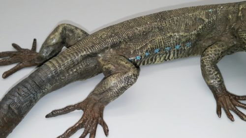 MAGNIFICENT ANTIQUE CA 1900 AUSTRIAN COLDPAINTED BRONZE LIZARD BY FRANZ BERGMAN - ADDITIONAL PHOTO 6