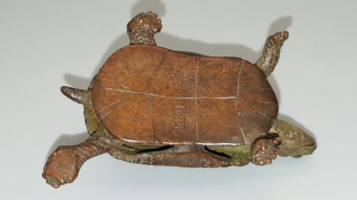 EXCELLENT MEIJI JAPANESE MINIATURE BRONZE OF A TURTLE WITH RETRACTABLE HEADTAIL - ADDITIONAL PHOTO 4