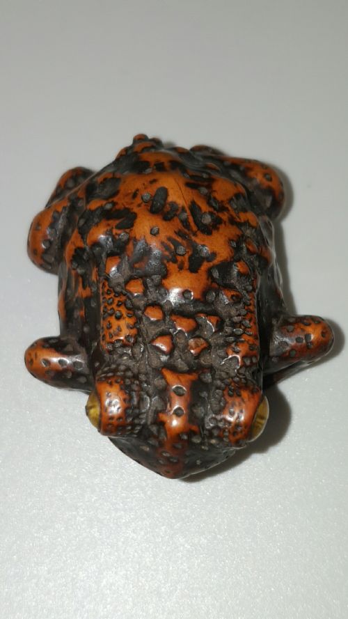 SUPERB JAPANESE EDO MID 19THC BOXWOOD TOAD NETSUKE - ADDITIONAL PHOTO 4