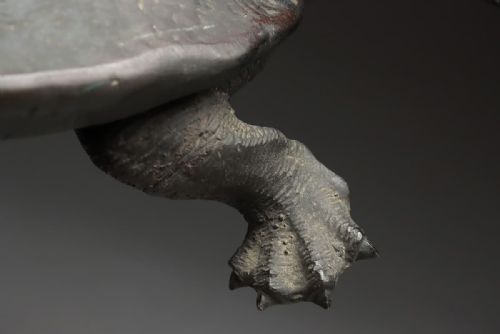 JAPANESE ANTIQUE 1919 TAISHO BRONZE OKIMONO OF TWO TURTLES STYLE OF MURATA SEIMIN - ADDITIONAL PHOTO 15