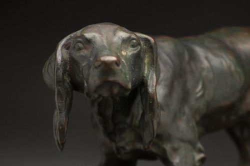 SUPERB ENGLISH ANTIQUE EARLY 20THC BRONZE SETTER DOG STATUE - ADDITIONAL PHOTO 3