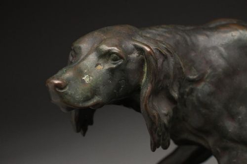 SUPERB ENGLISH ANTIQUE EARLY 20THC BRONZE SETTER DOG STATUE - ADDITIONAL PHOTO 4