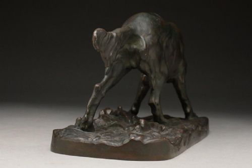 SUPERB ENGLISH ANTIQUE EARLY 20THC BRONZE SETTER DOG STATUE - ADDITIONAL PHOTO 8