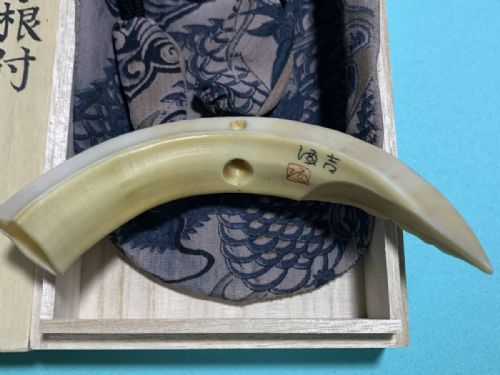 RARE JAPANESE TAISHO OR EARLY SHOWA PERIOD EARLY 20THC IWAMI BOARS TUSK DRAGON NETSUKE - ADDITIONAL PHOTO 1
