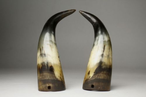 RARE JAPANESE MEIJI EARLY 20THC PAIR OF LACQUERED OX HORN FLOWER VASES - ADDITIONAL PHOTO 5
