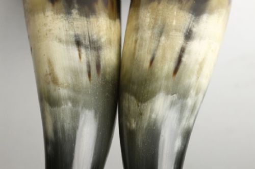 RARE JAPANESE MEIJI EARLY 20THC PAIR OF LACQUERED OX HORN FLOWER VASES - ADDITIONAL PHOTO 6