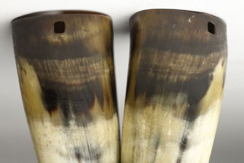 RARE JAPANESE MEIJI EARLY 20THC PAIR OF LACQUERED OX HORN FLOWER VASES - ADDITIONAL PHOTO 7