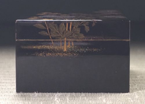 Rectangular black lacquer box decorated with gold and silver floral chrysanthemum motifs on the upper lid surface. View V
