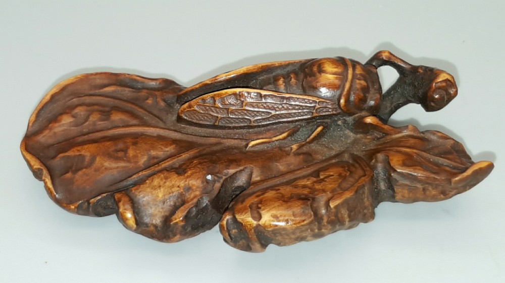 Unusual Large Japanese Meiji Boxwood Netsuke of a Cicada on a Leaf 
