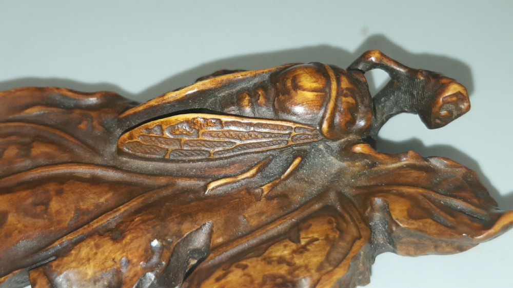 Unusual Large Japanese Meiji Boxwood Netsuke of a Cicada on a Leaf  View IV