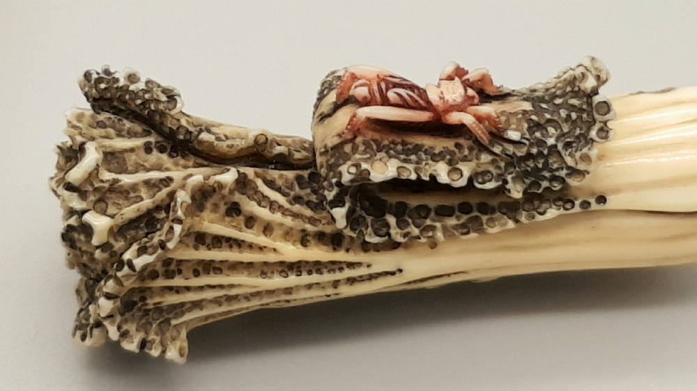 Superb Japanese ivory Meiji/Showa Netsuke of Bok Choi View II