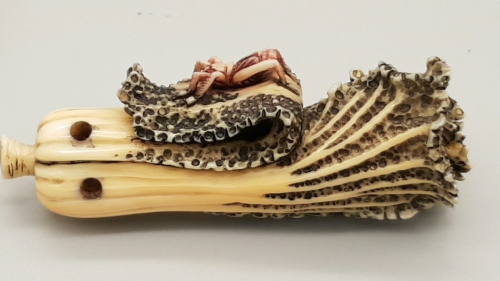 Superb Japanese ivory Meiji/Showa Netsuke of Bok Choi View III