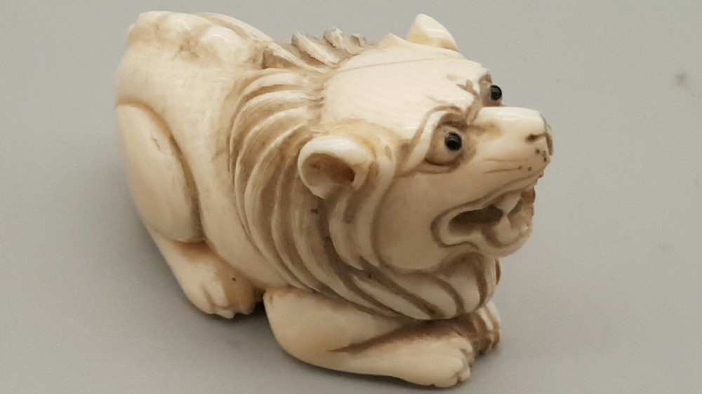 Japanese Meiji Ivory Netsuke of a Seated Lion  View II