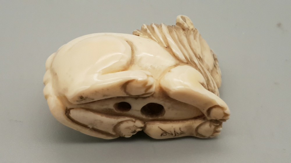 Japanese Meiji Ivory Netsuke of a Seated Lion  View V