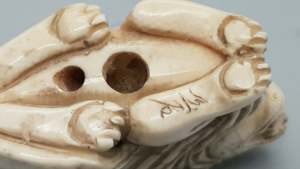 Japanese Meiji Ivory Netsuke of a Seated Lion  View VI