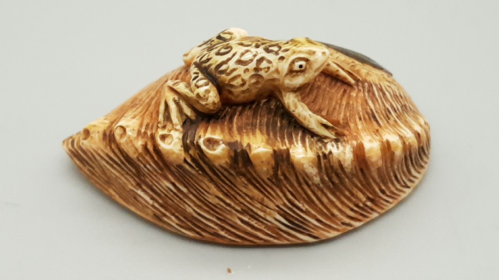 Japanese Meiji Ivory Netsuke of a Toad on an Awabi Shell View III