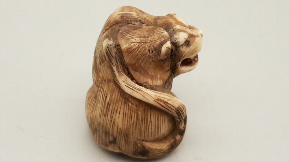 Japanese Edo Ivory Tiger Netsuke  View II