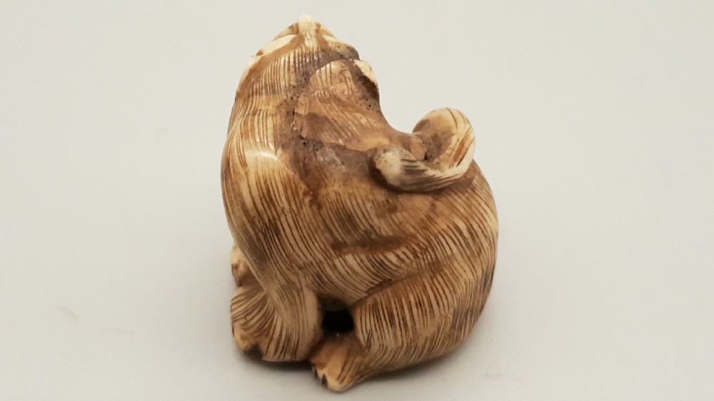 Japanese Edo Ivory Tiger Netsuke  View III