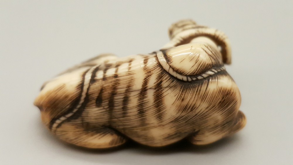 Very good Japanese Meiji ivory netsuke of an ox signed Tomotada View II