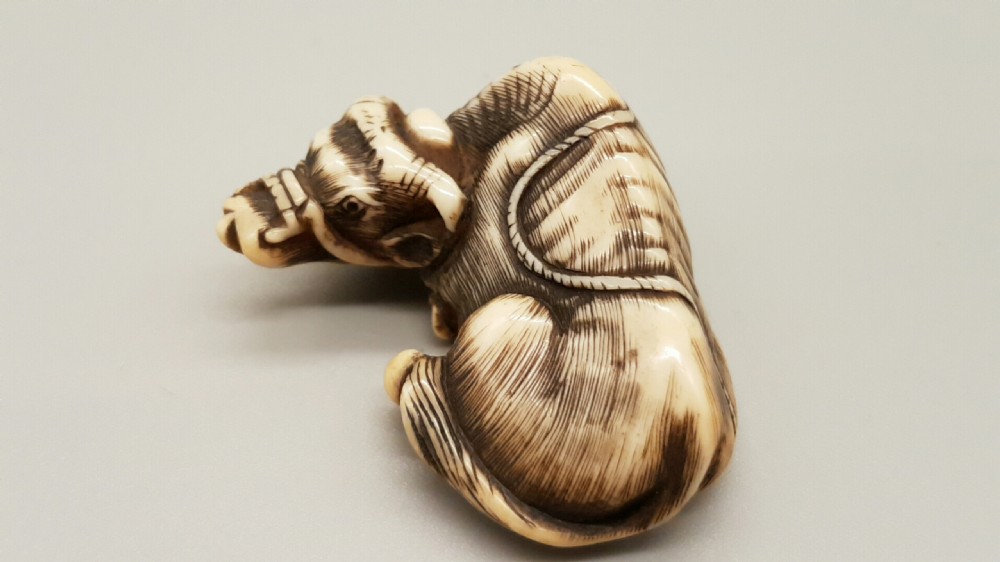 Very good Japanese Meiji ivory netsuke of an ox signed Tomotada View III