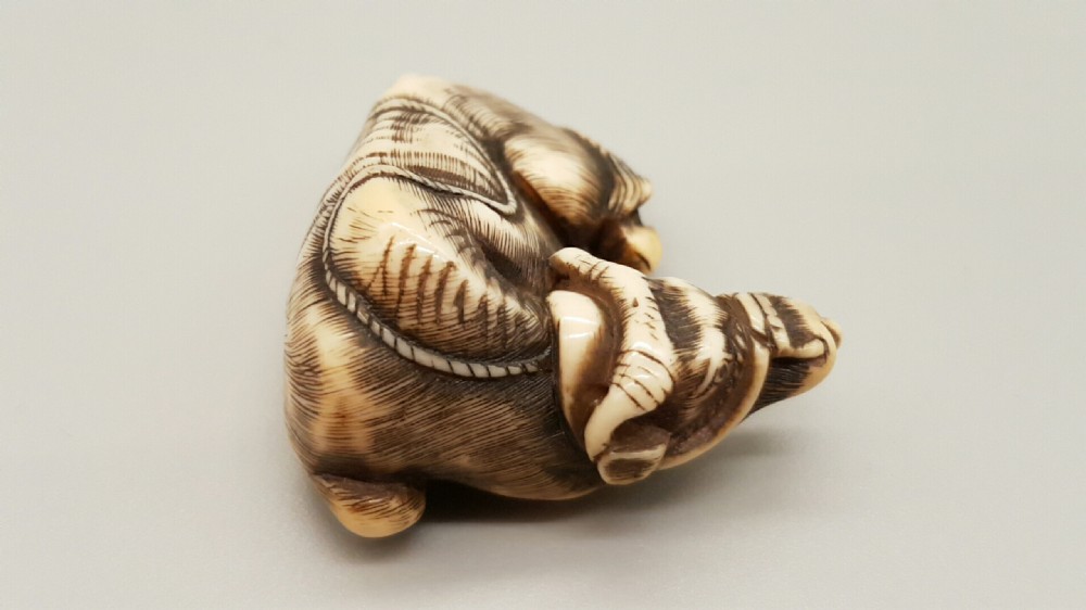 Very good Japanese Meiji ivory netsuke of an ox signed Tomotada View IV