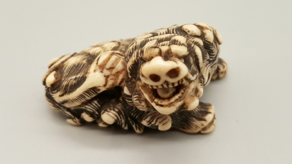 Superb Japanese Edo Ivory Netsuke of a Karashishi with a Ball in his Mouth