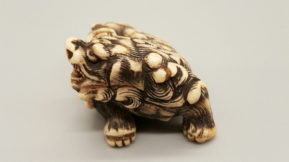 Superb Japanese Edo Ivory Netsuke of a Karashishi with a Ball in his Mouth View II