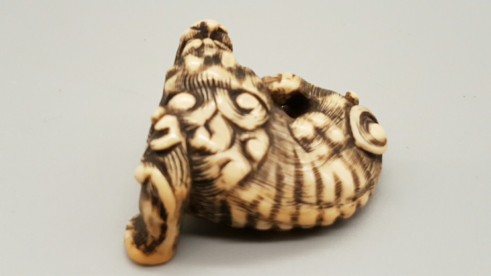 Superb Japanese Edo Ivory Netsuke of a Karashishi with a Ball in his Mouth View III