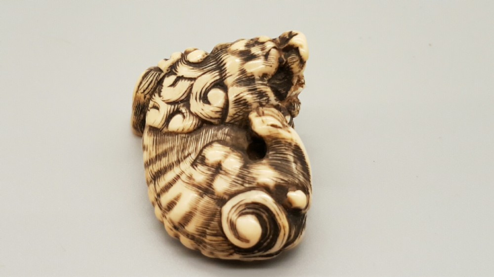 Superb Japanese Edo Ivory Netsuke of a Karashishi with a Ball in his Mouth View IV