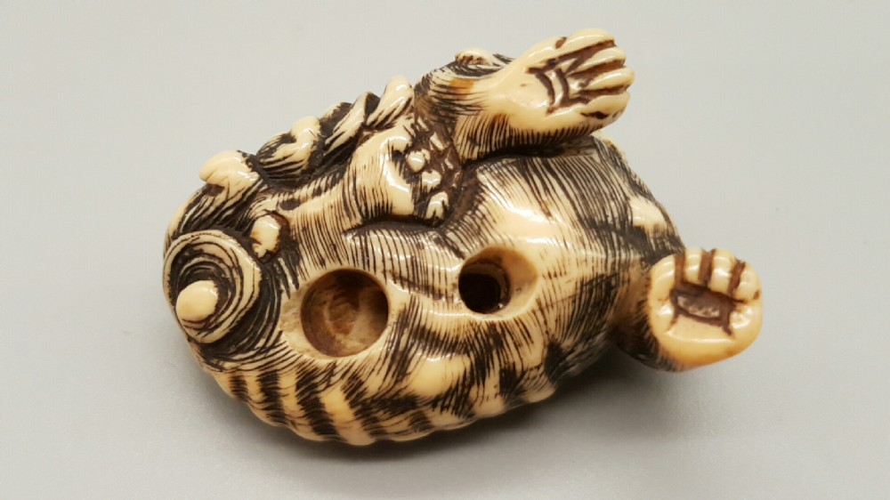 Superb Japanese Edo Ivory Netsuke of a Karashishi with a Ball in his Mouth View V