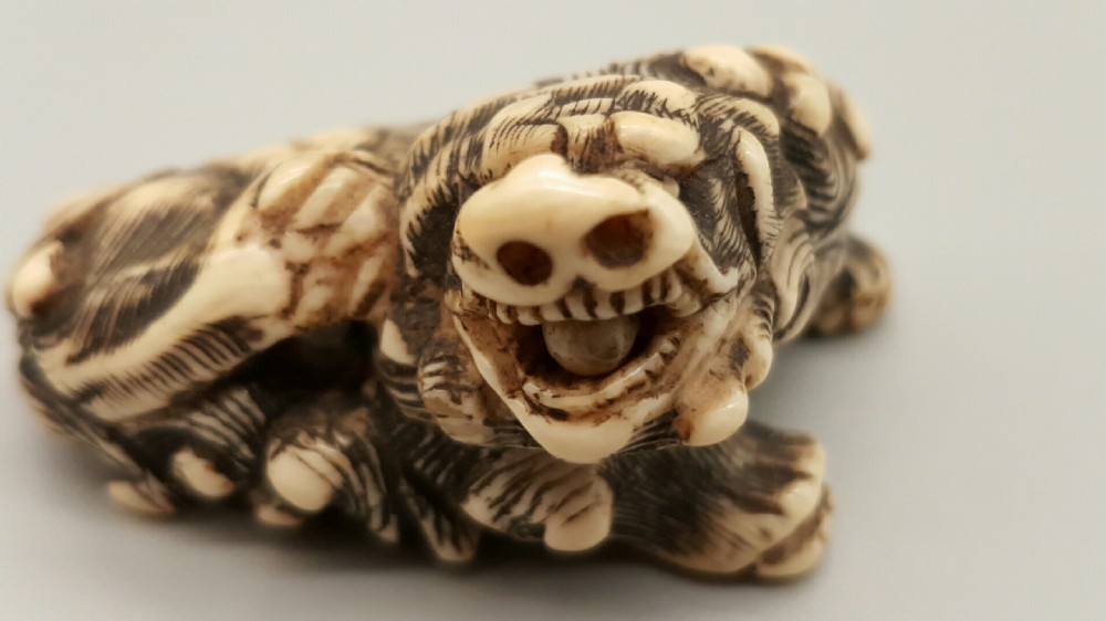 Superb Japanese Edo Ivory Netsuke of a Karashishi with a Ball in his Mouth View VI