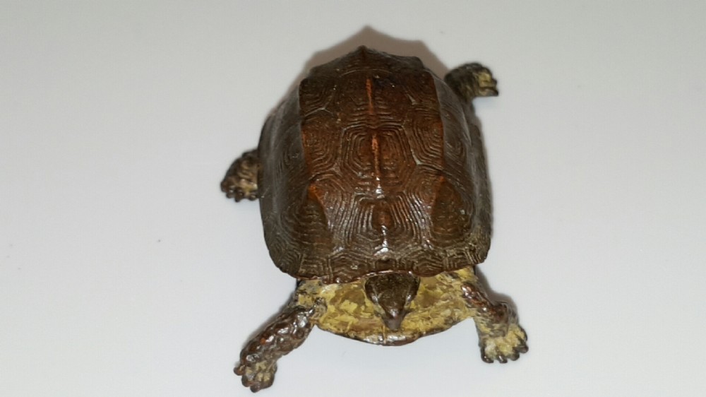 Exquisite Meiji Japanese Miniature Bronze of a Turtle View III