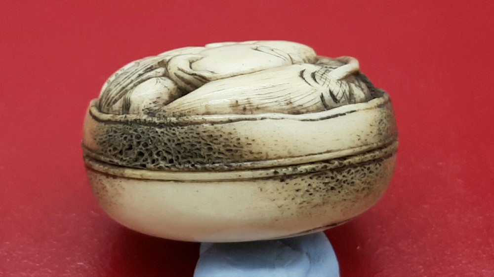 Japanese Edo Stag Antler Manju Netsuke Depicting Jurojin, the God of Longevity View III