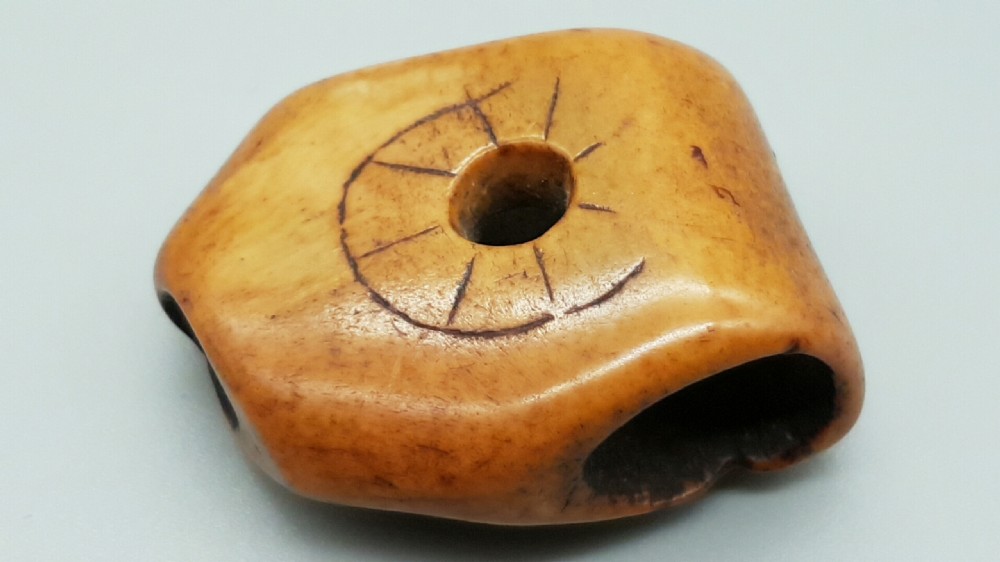 Japanese Edo/Meiji Stag Antler Netsuke of Seashells View V
